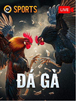 Fly88 ĐÁ GÀ